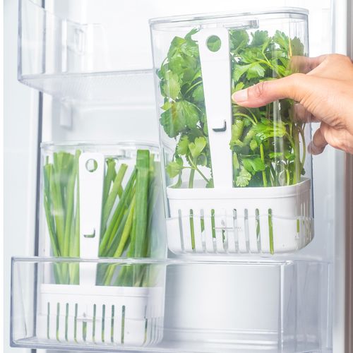 organizador-de-temperos-2-3L-amb